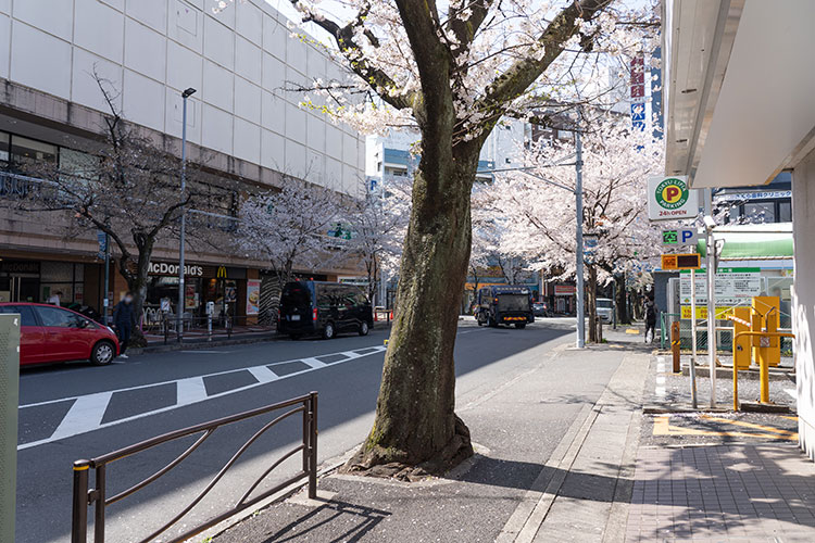 左手にマクドナルド